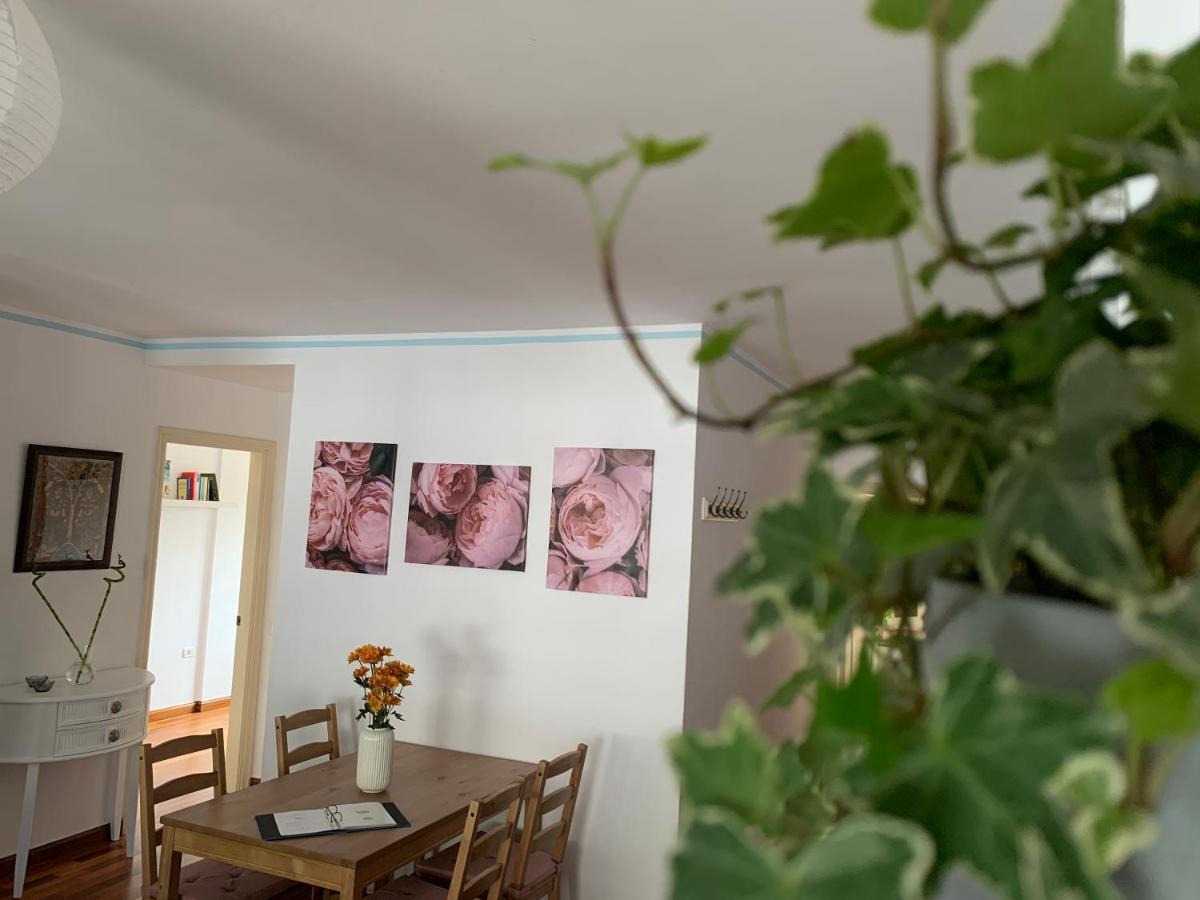 La Casita De Mi Alma - Das Haus Meiner Seele Tegueste Εξωτερικό φωτογραφία